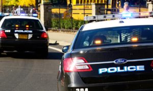 Group of Police Cars